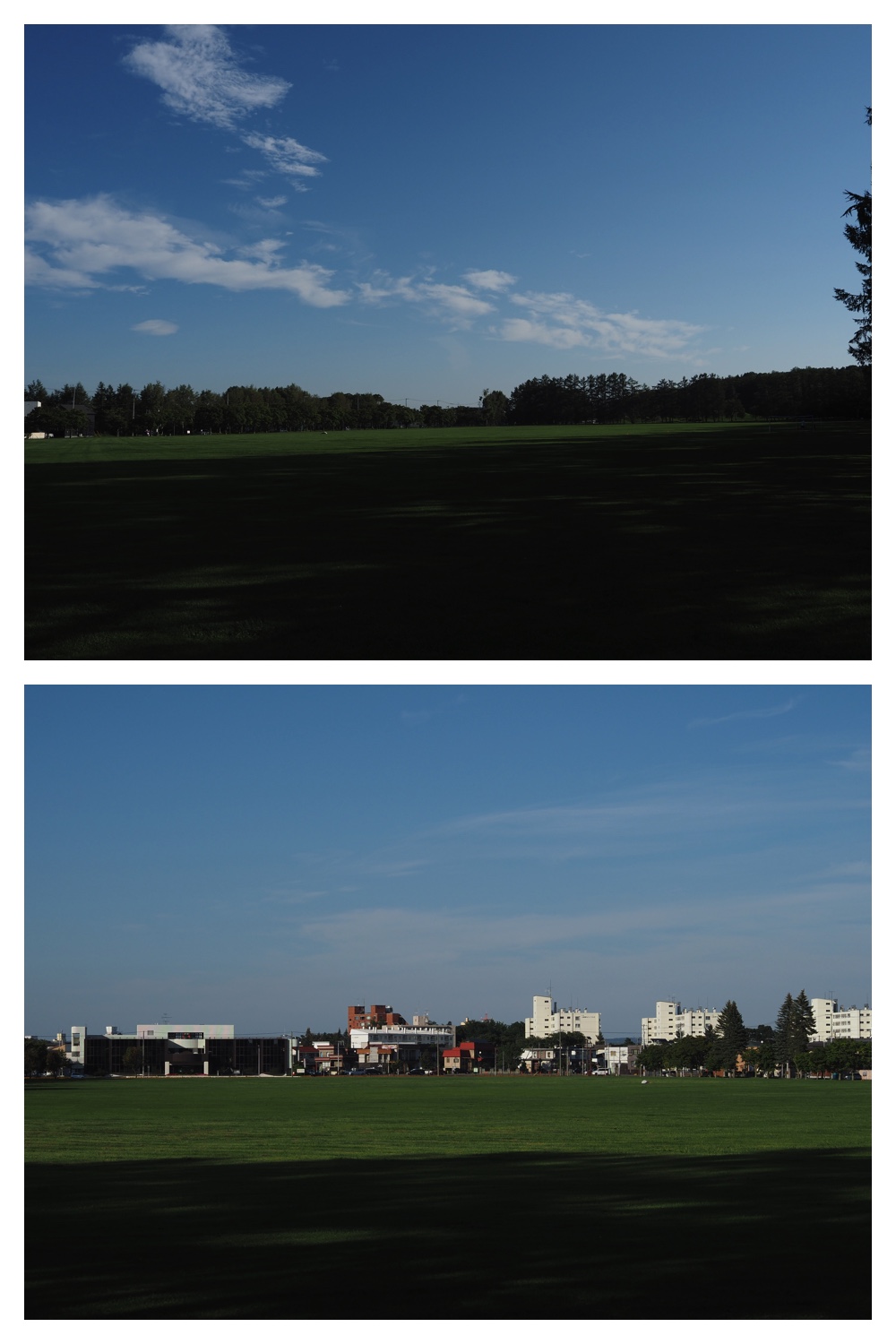 260807_Library_2
