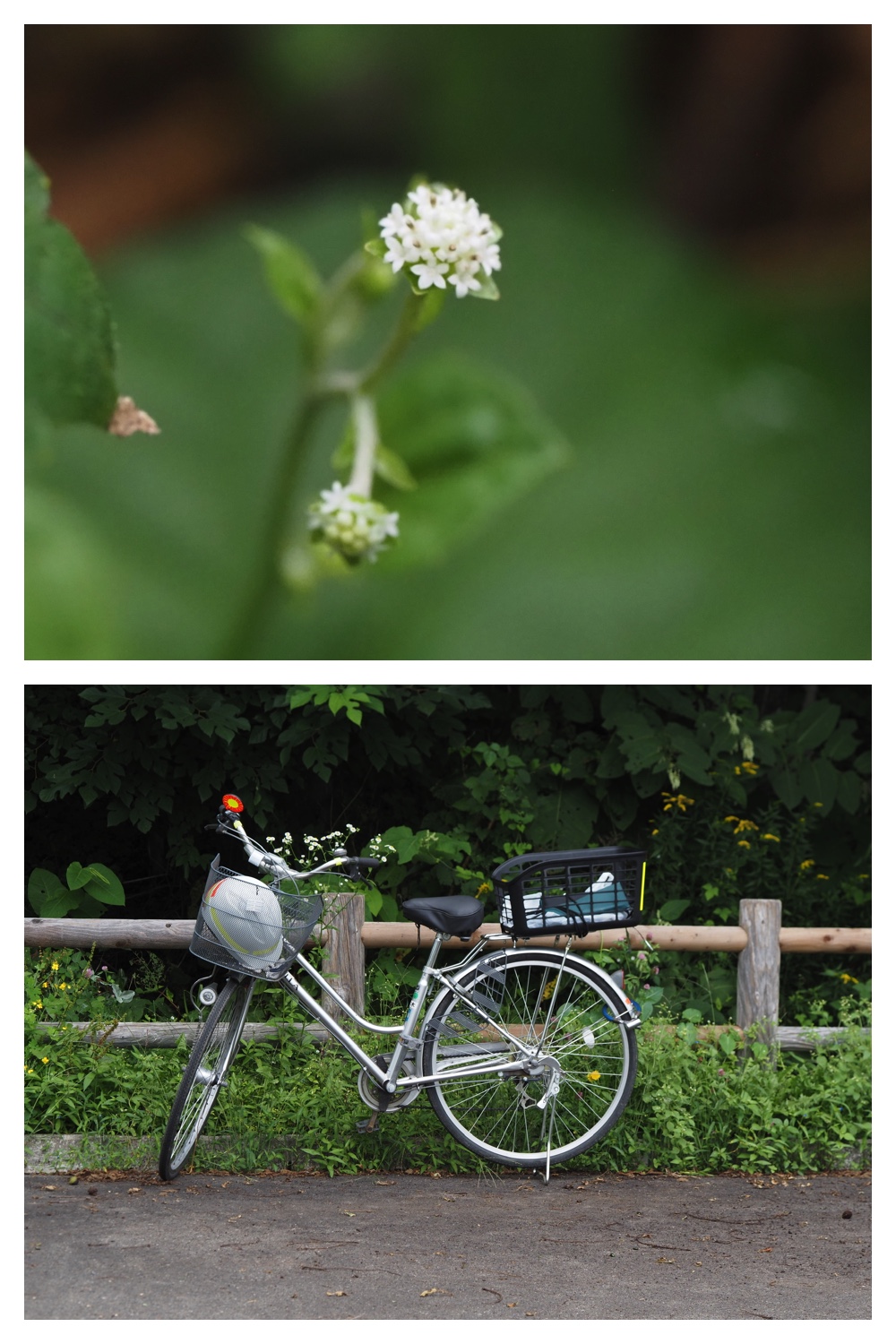 260815_Kunimiyama_40