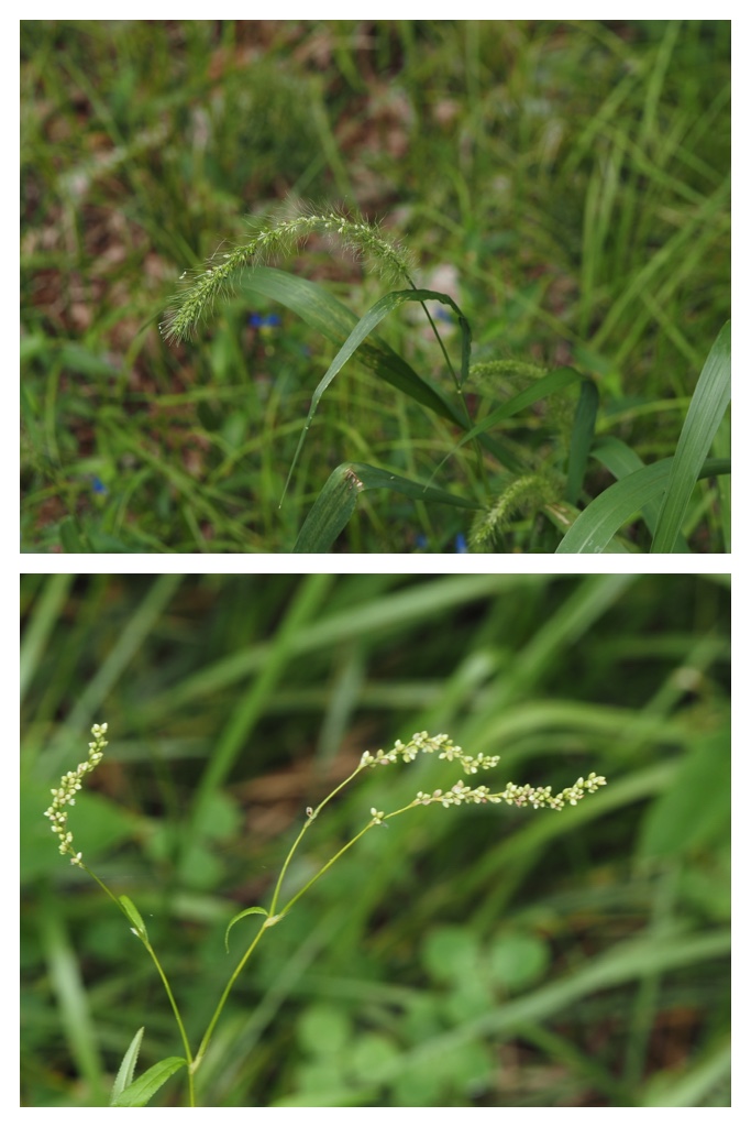 260818_Tokachigaoka_42