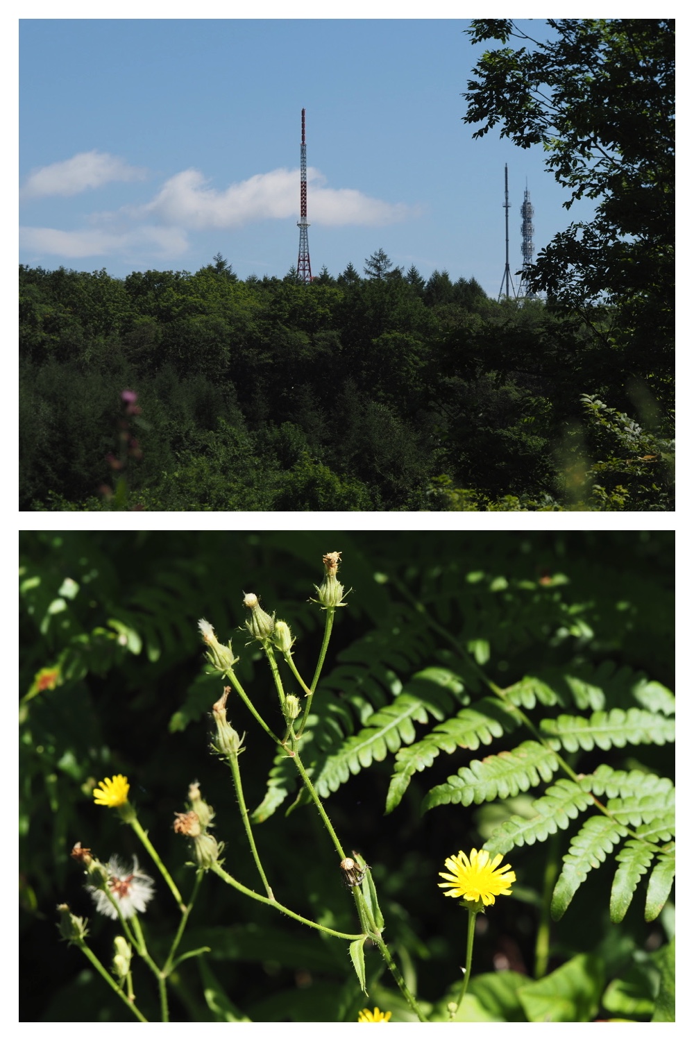 260822_Tokachigaoka_40