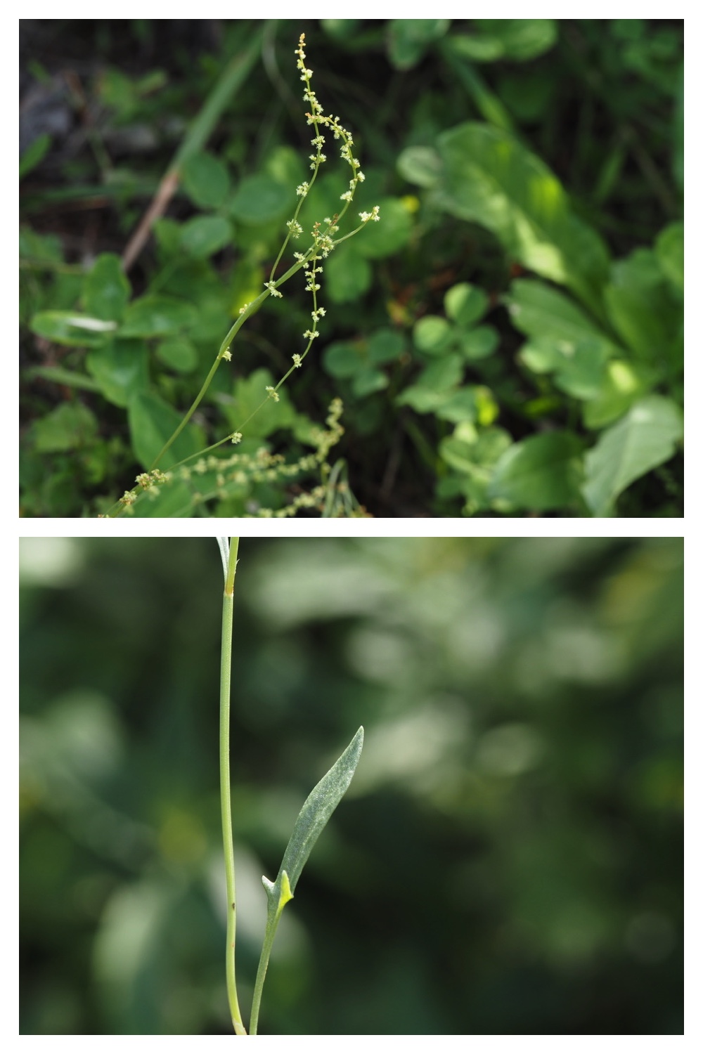 260822_Tokachigaoka_5