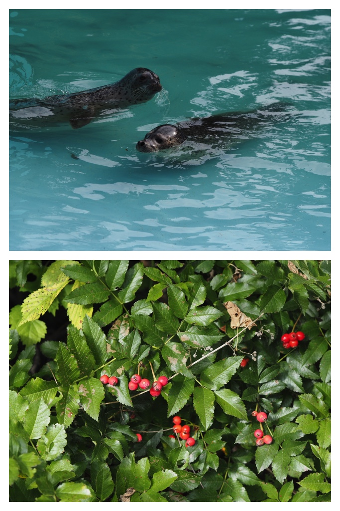 260830_Zoo_3