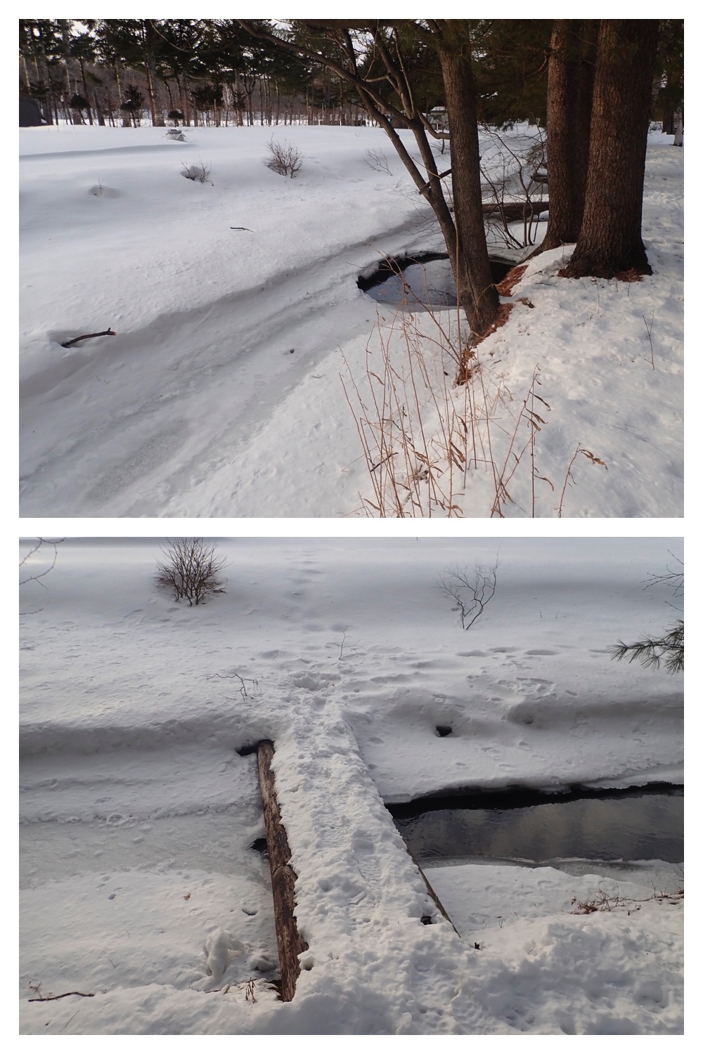 260207_New-pedometer_1