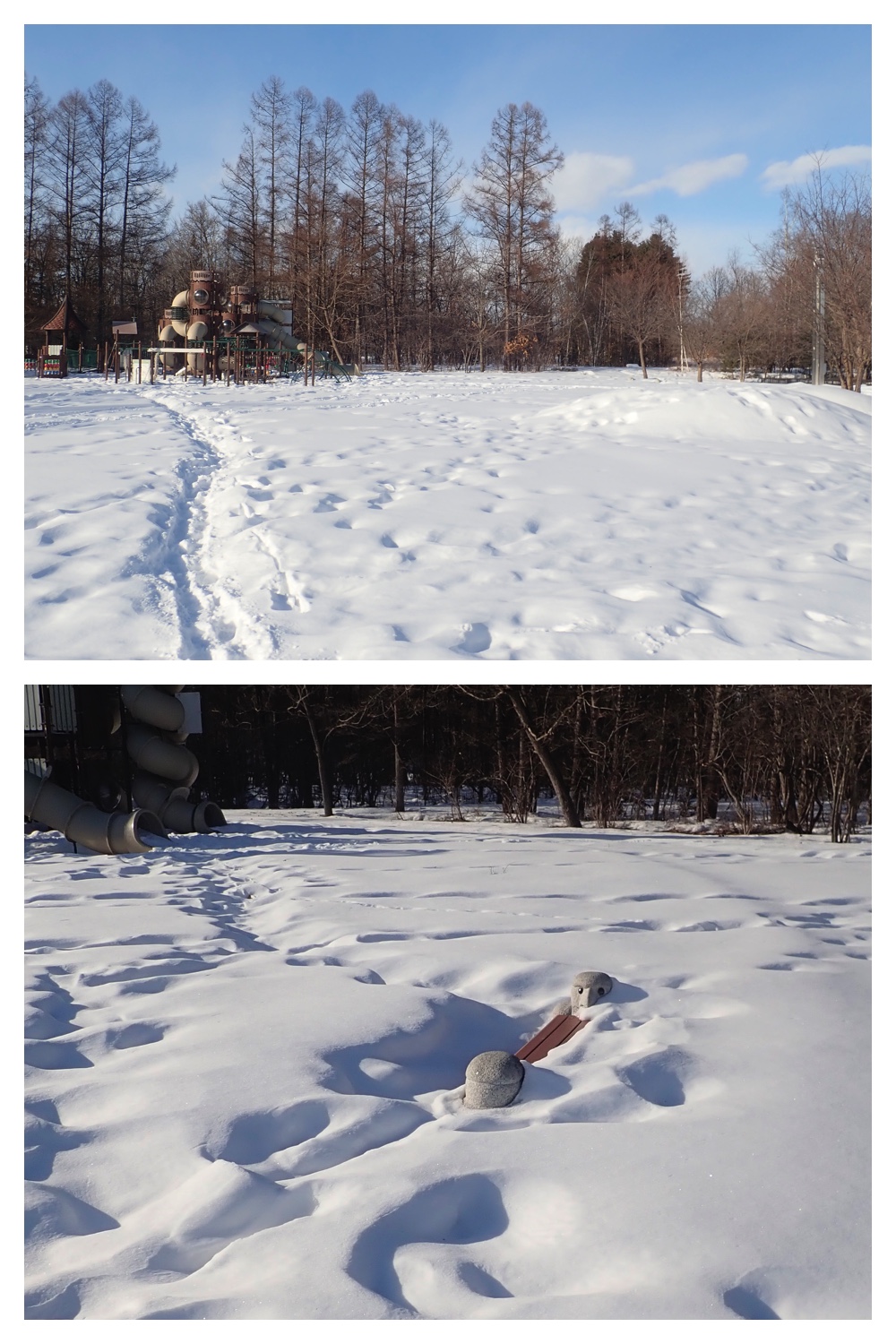 260209_2Pedometers_1