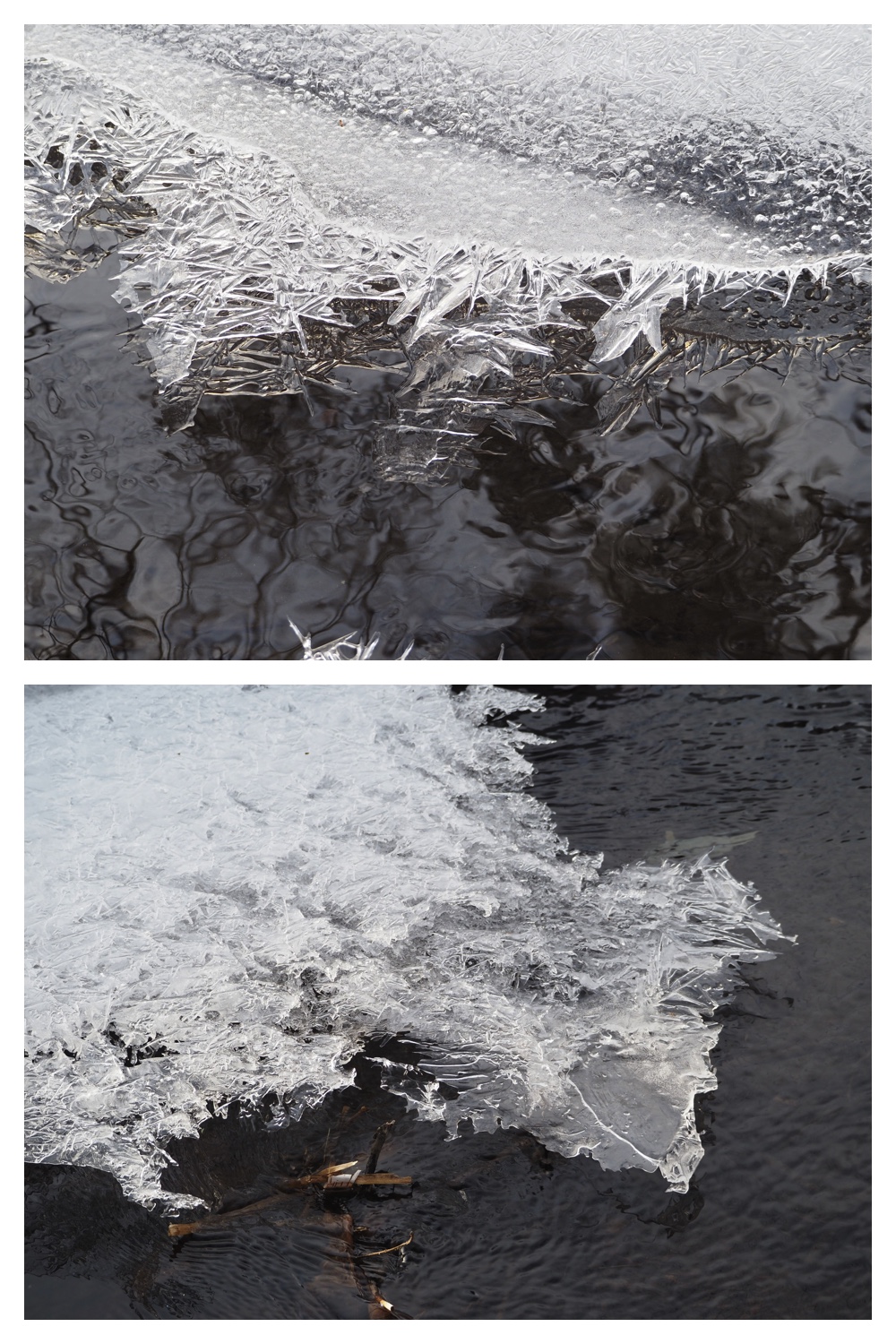 260209_2Pedometers_3