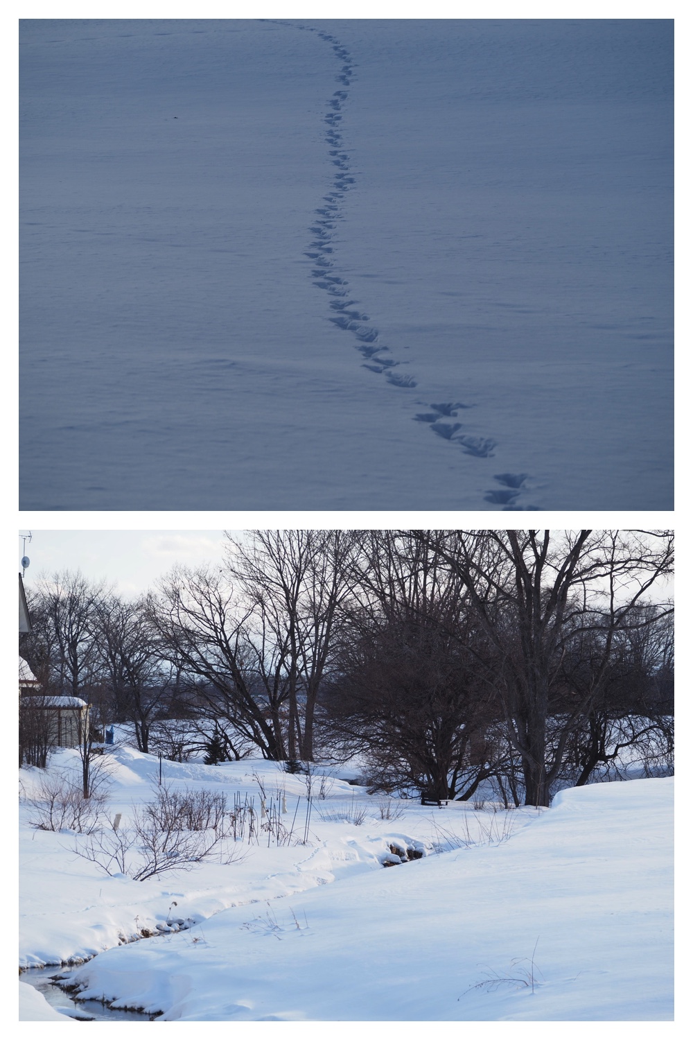 260209_2Pedometers_7