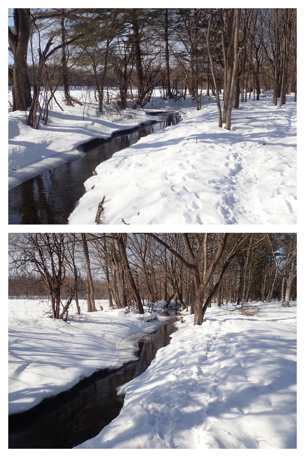 260210_After-the-pol_1