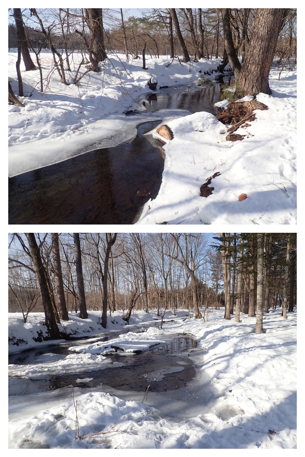 260210_After-the-pol_2