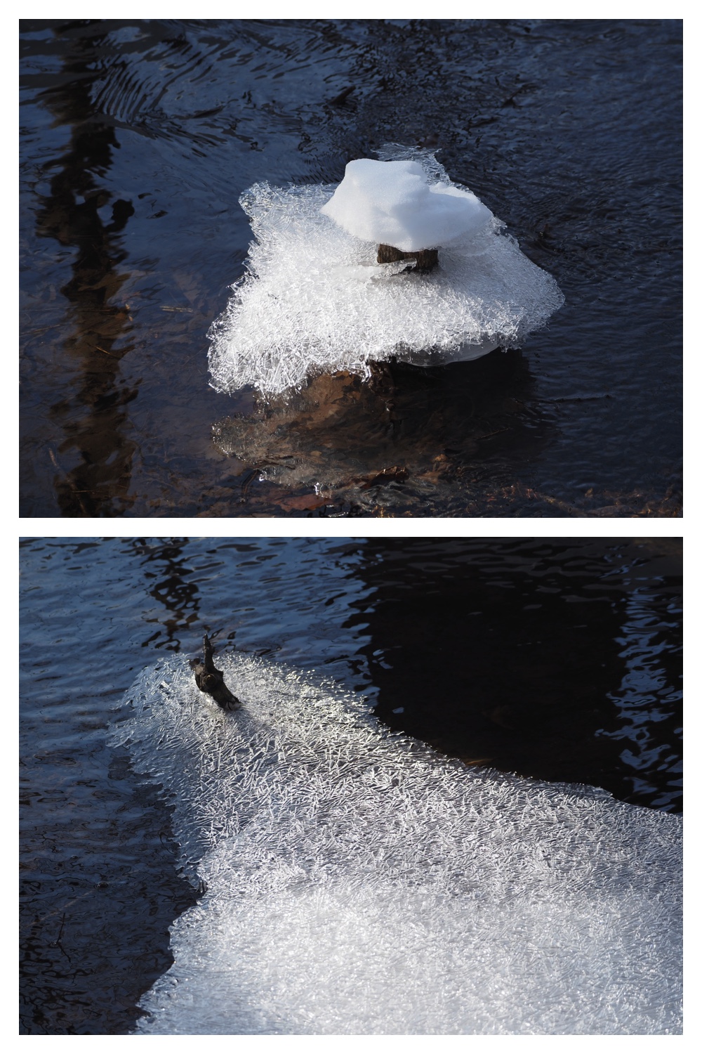 260210_After-the-pol_5