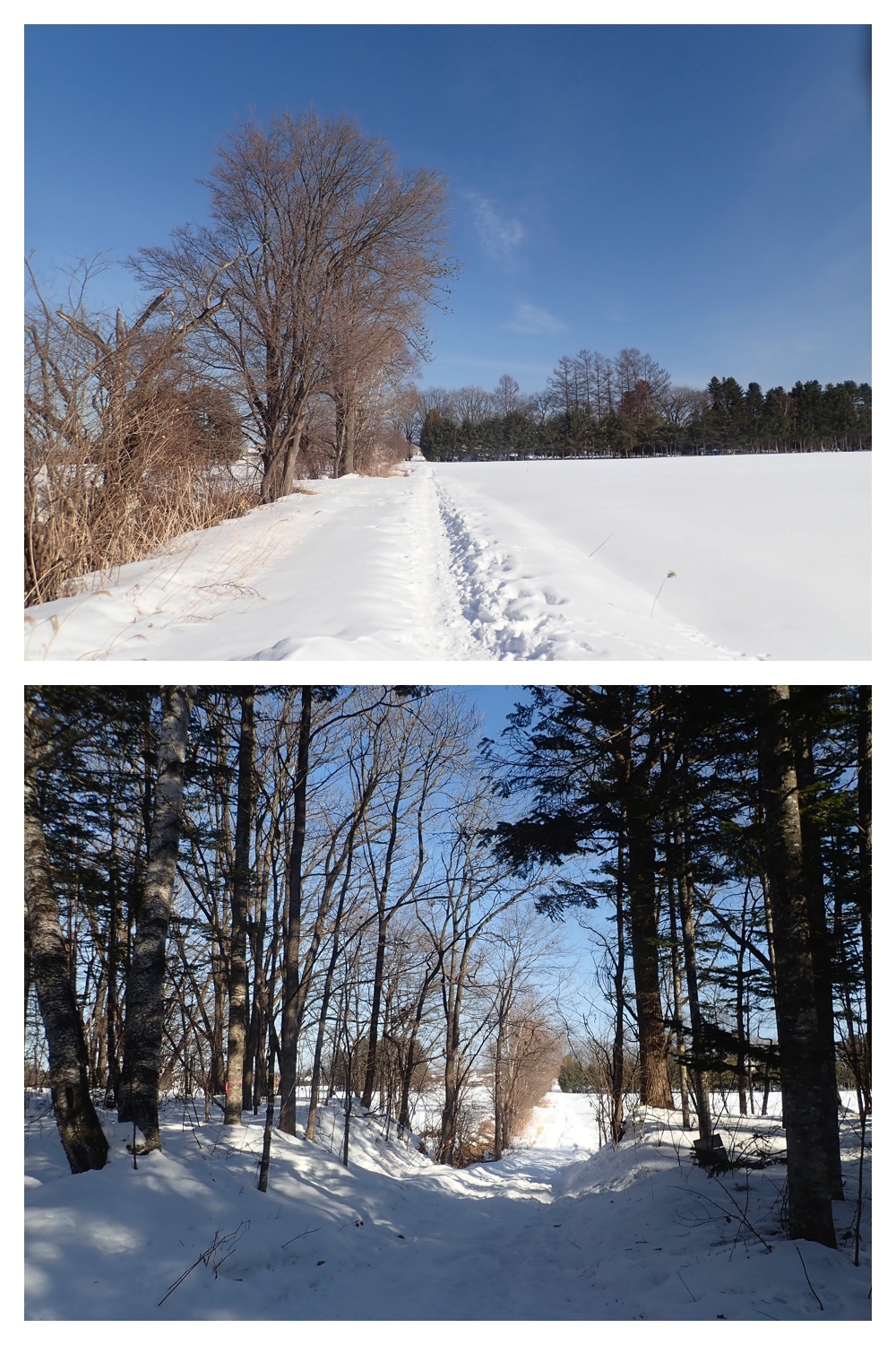 260210_After-the-pol_7