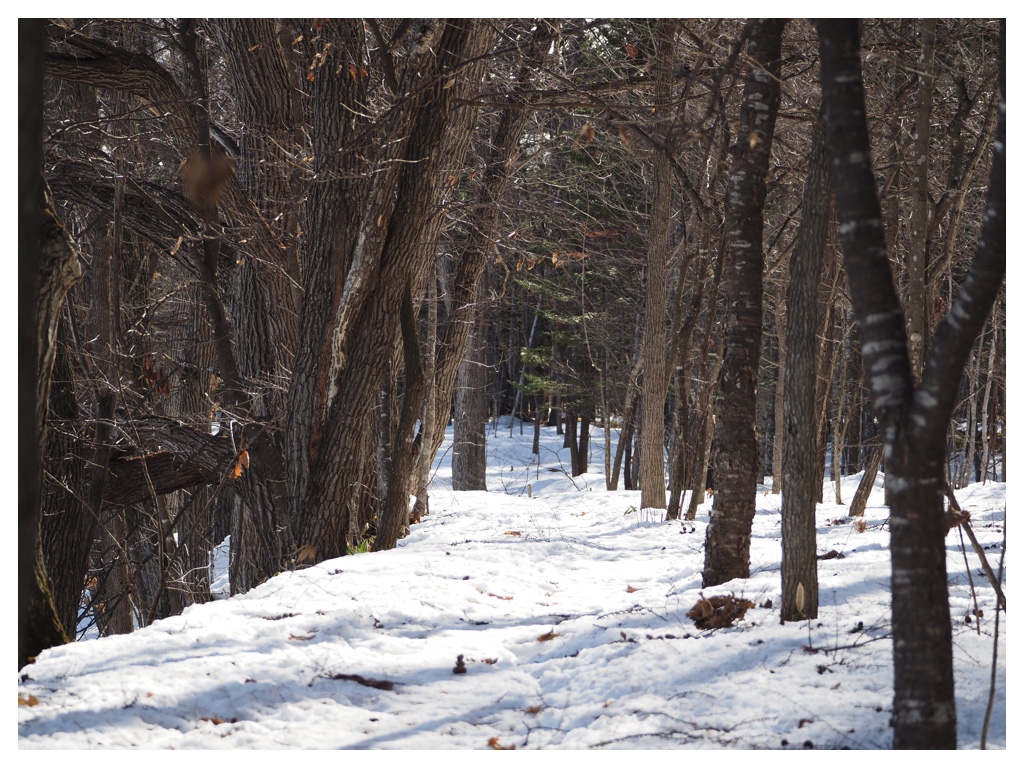 260223_rubber-boots_6