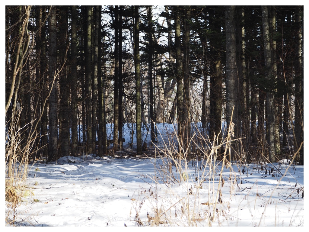 260223_rubber-boots_7