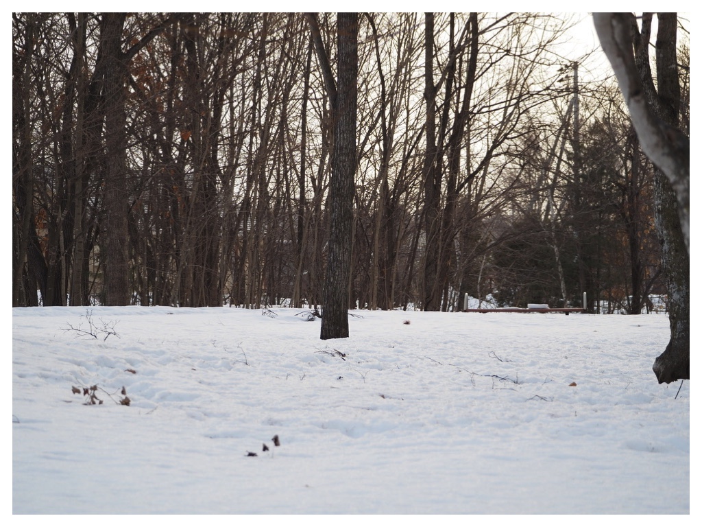 260224_rubber-boots_10