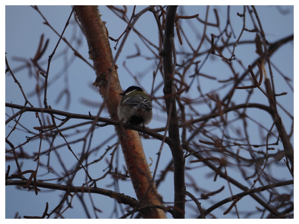 260224_rubber-boots_3