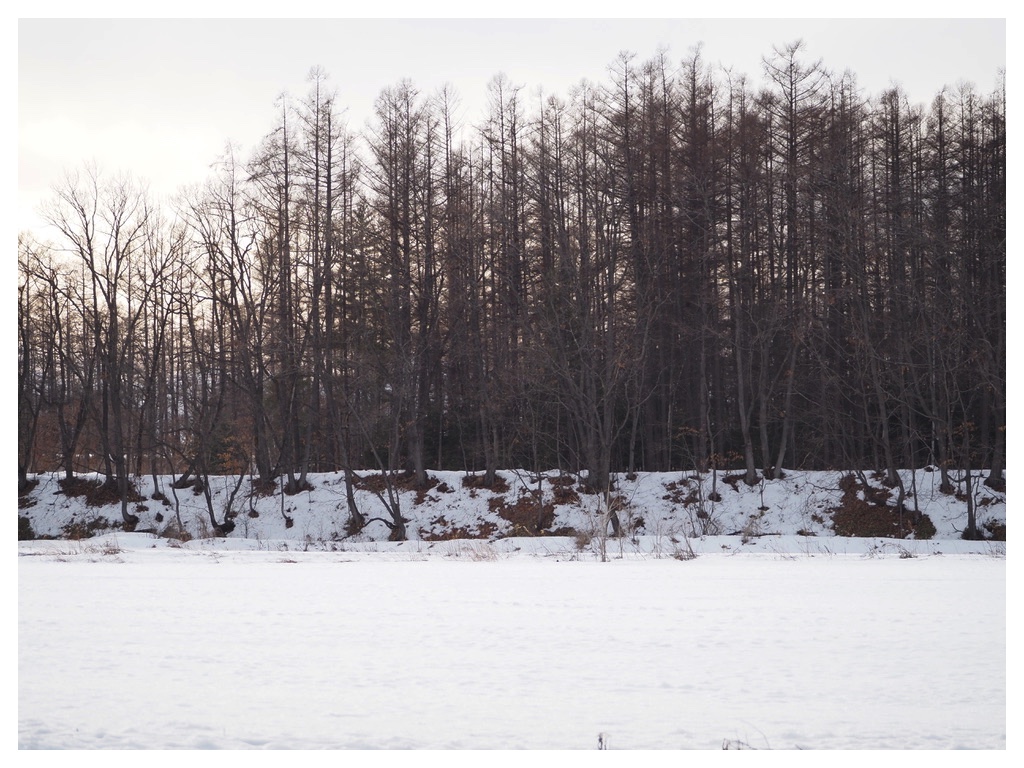 260224_rubber-boots_5