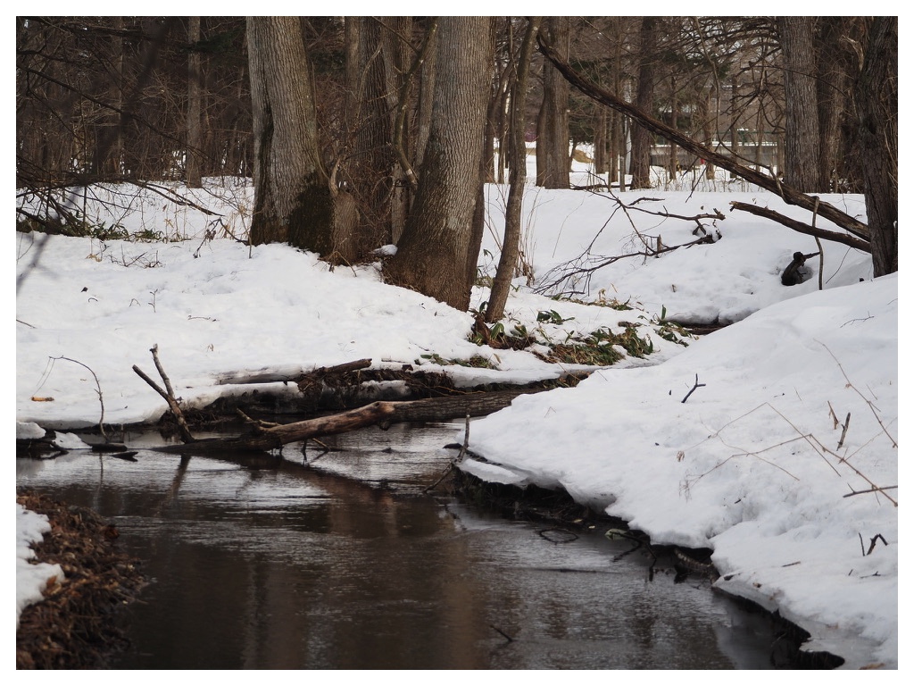 260224_rubber-boots_7