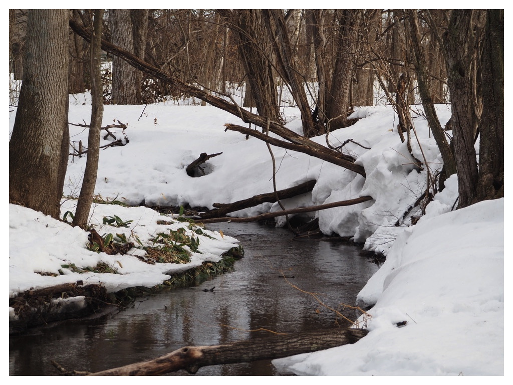 260224_rubber-boots_8