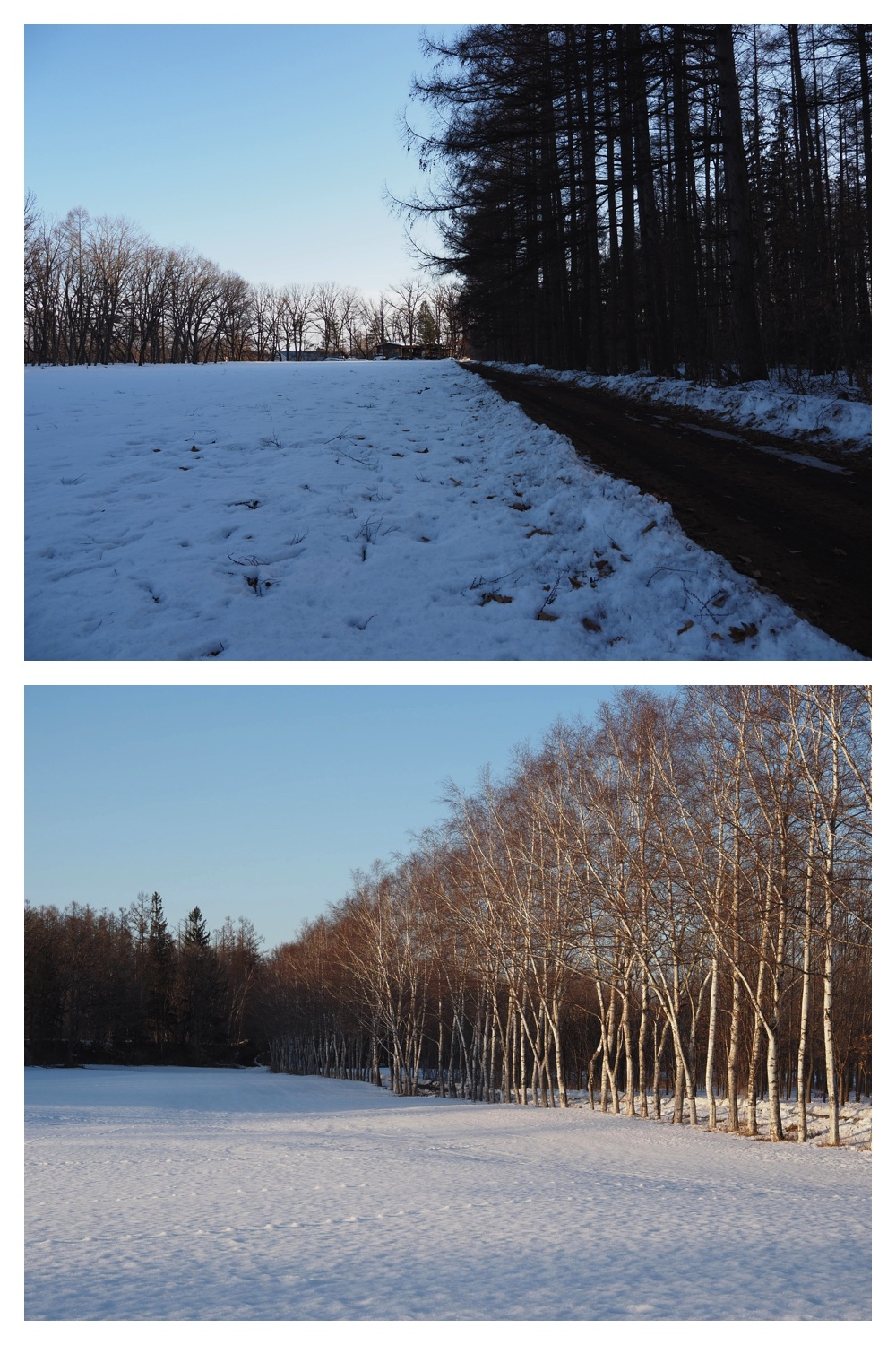 260225_Urikaigawa_10