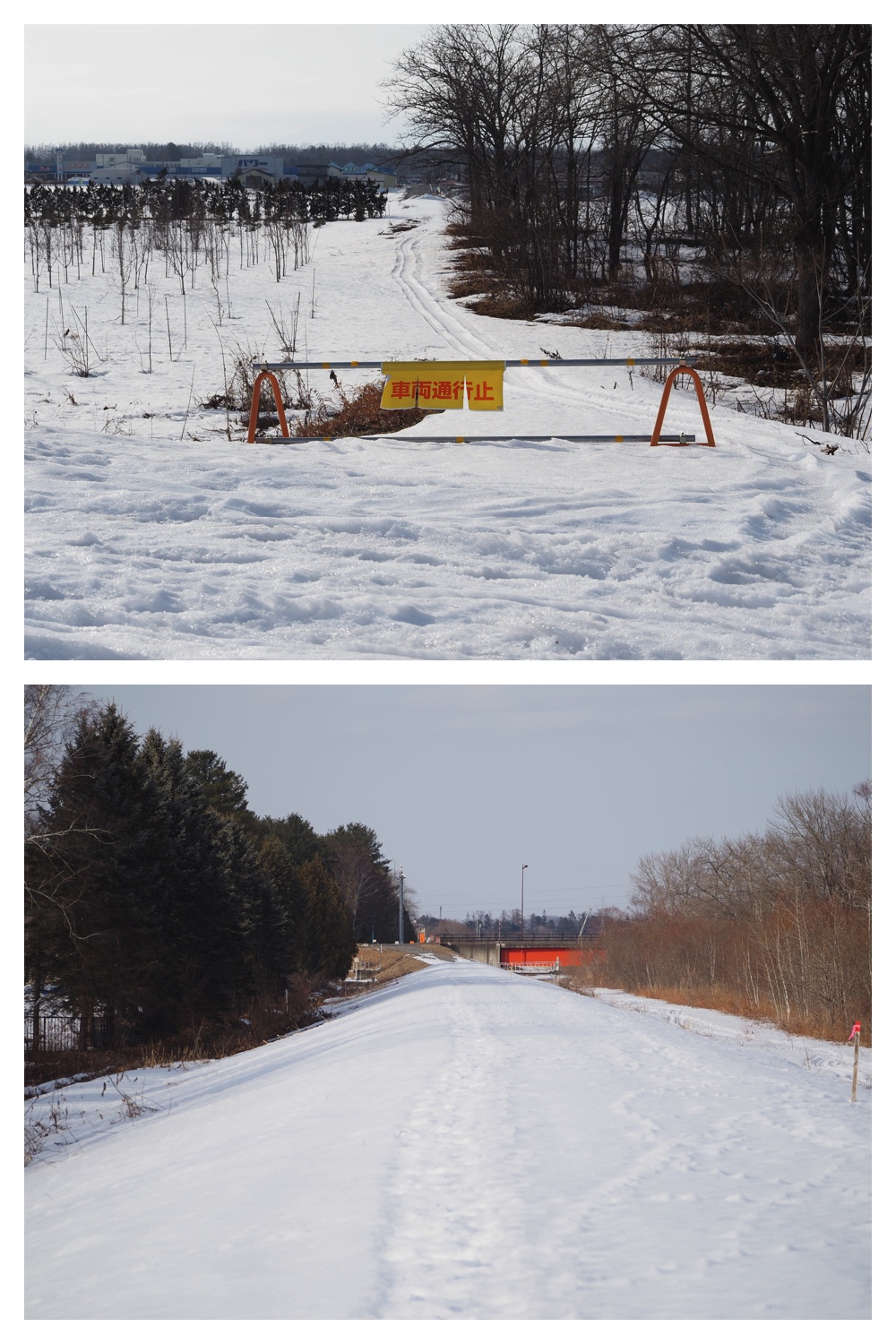 260226_Satsunaigawa_10