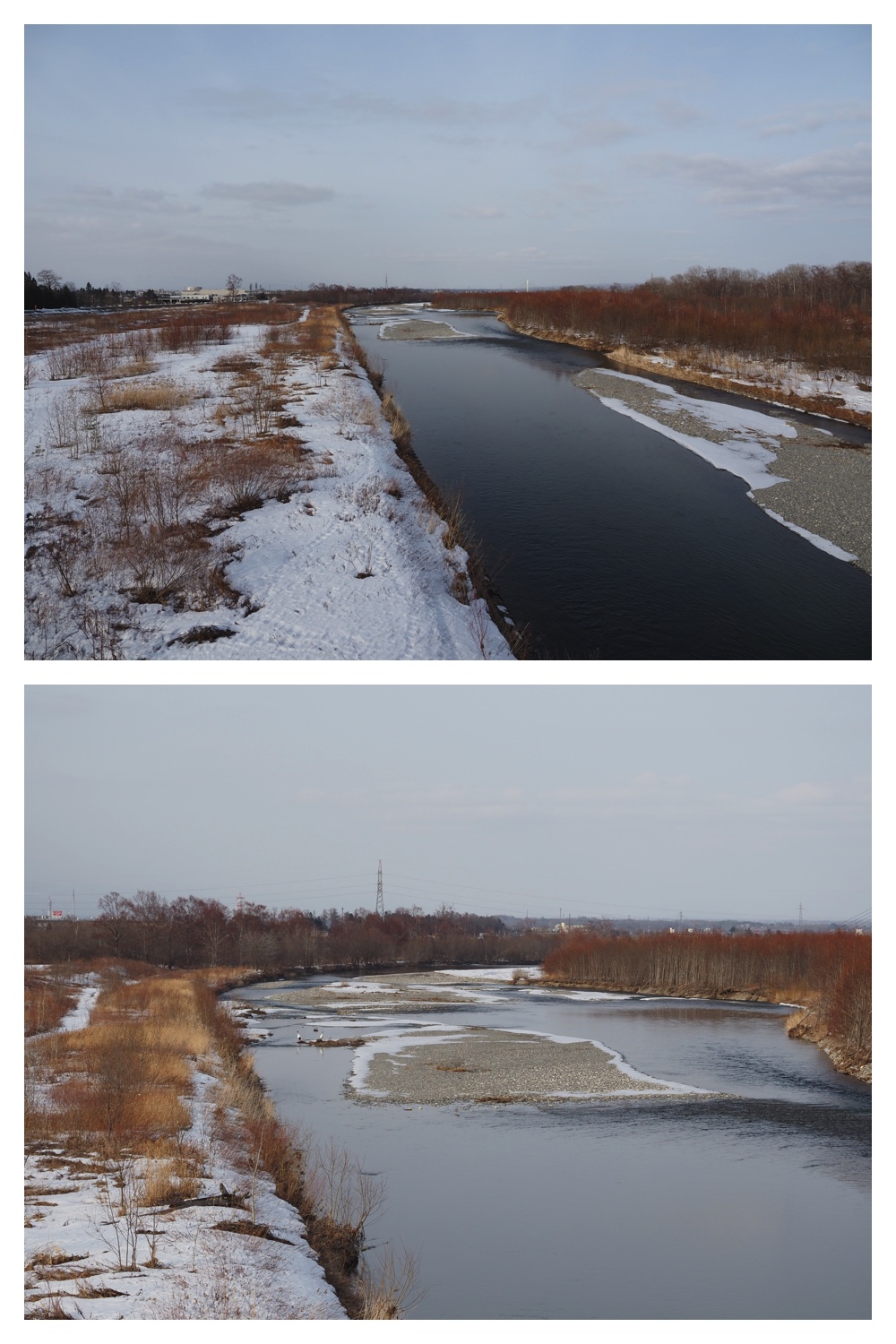 260226_Satsunaigawa_12