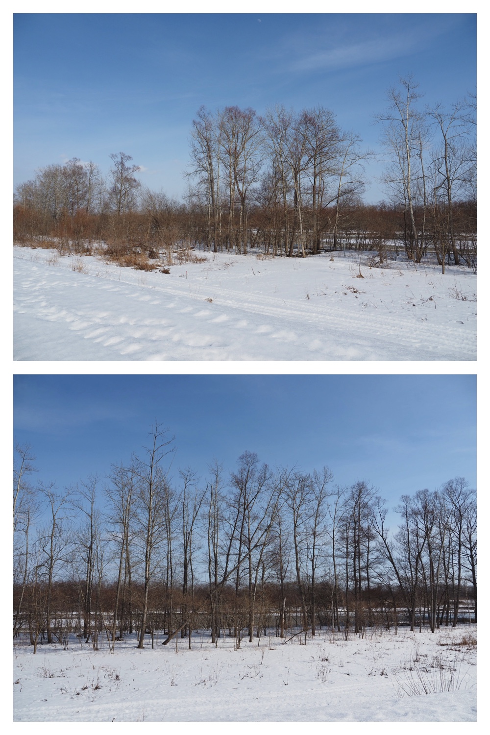 260226_Satsunaigawa_3