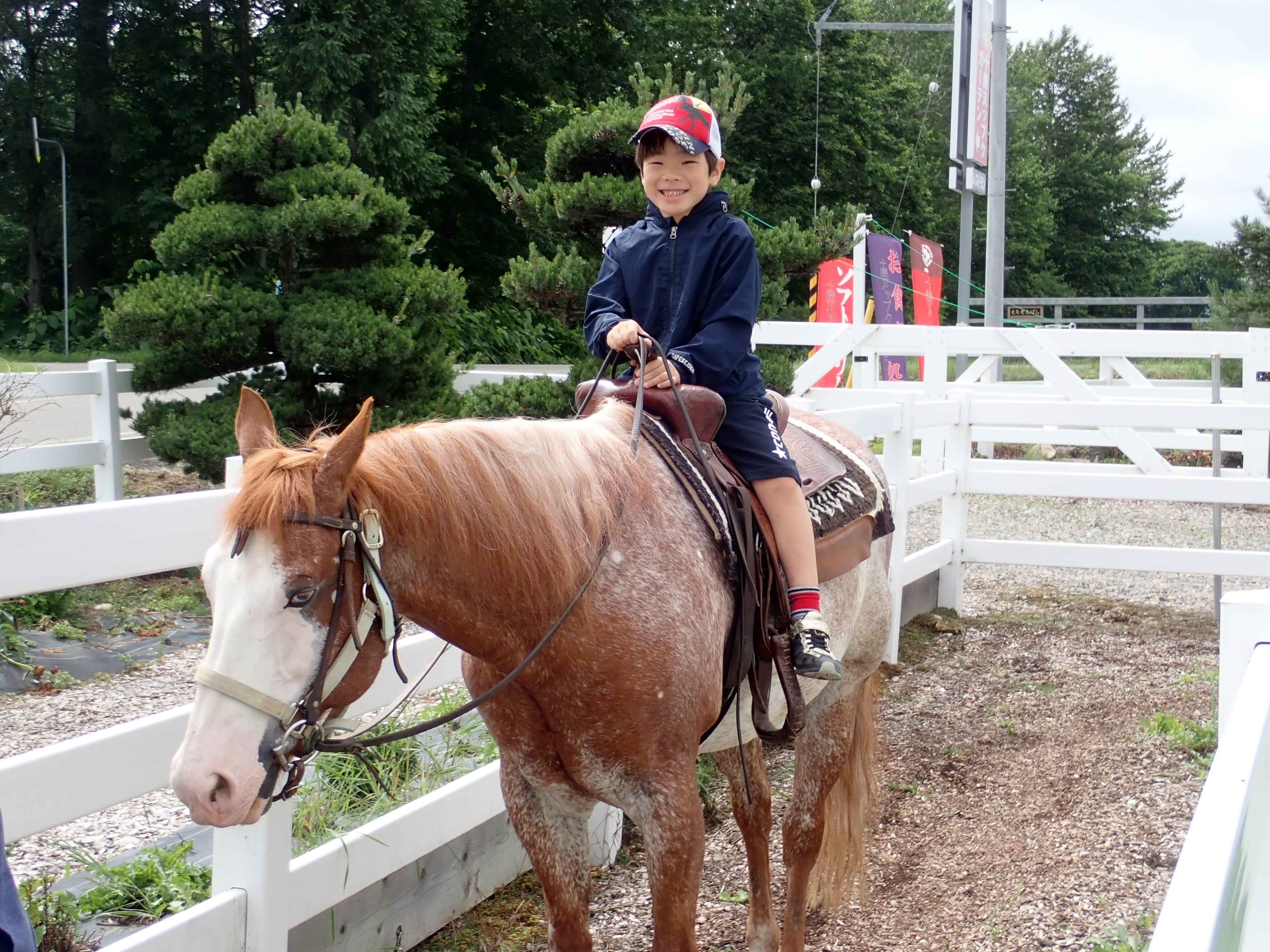 2019-07-22%2013.18.45