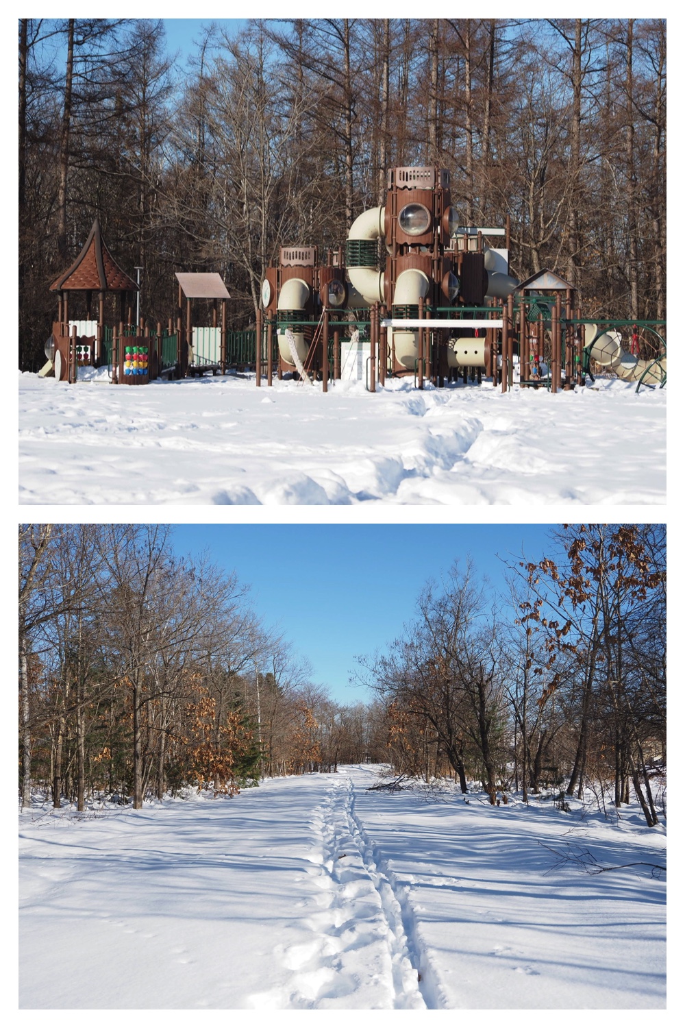 260102_New-Year-Walk_1