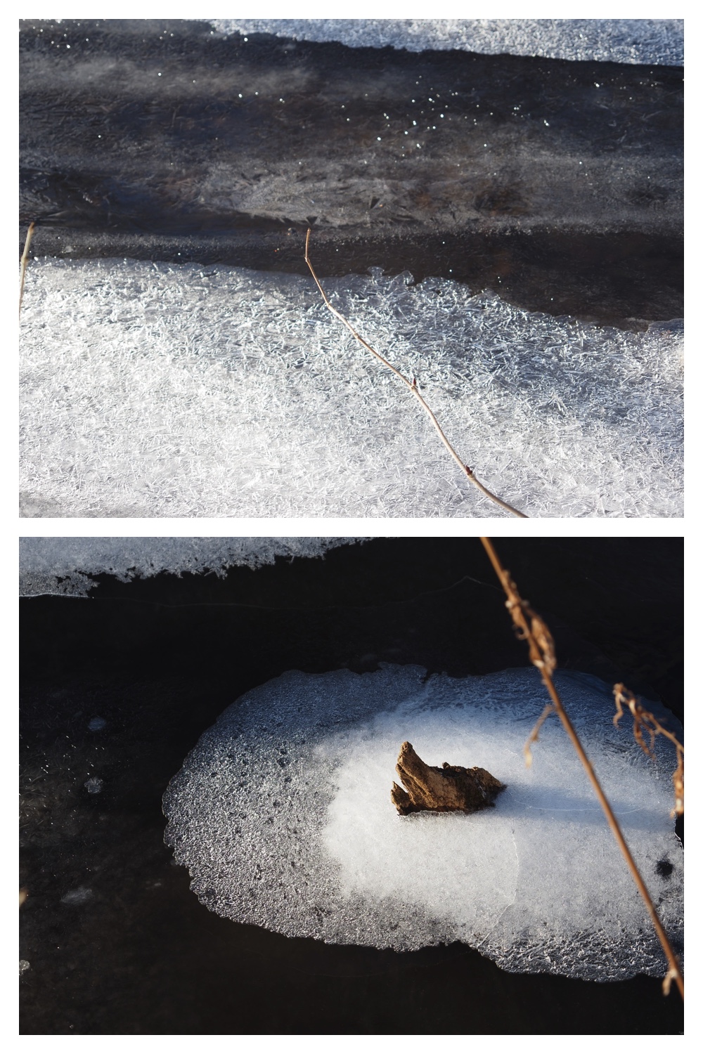 260102_New-Year-Walk_10