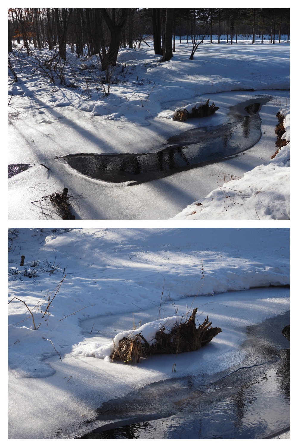 260102_New-Year-Walk_11