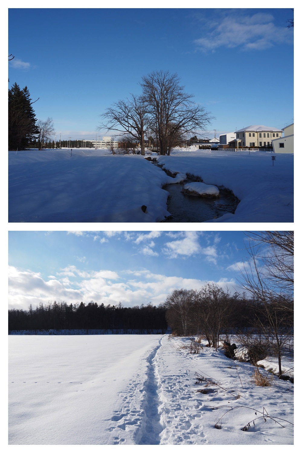 260102_New-Year-Walk_12