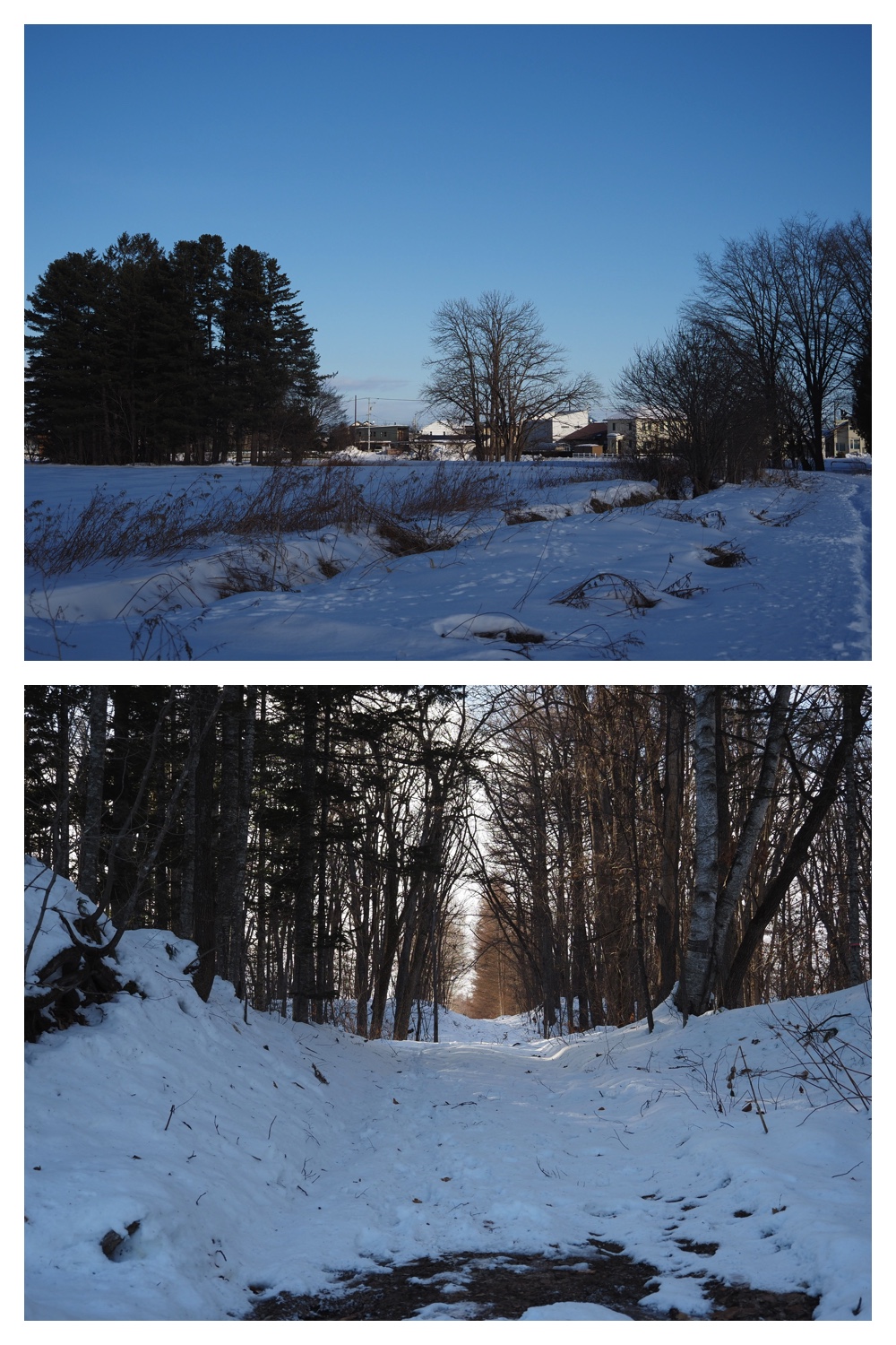 260102_New-Year-Walk_13