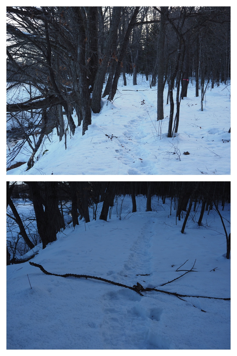 260102_New-Year-Walk_14