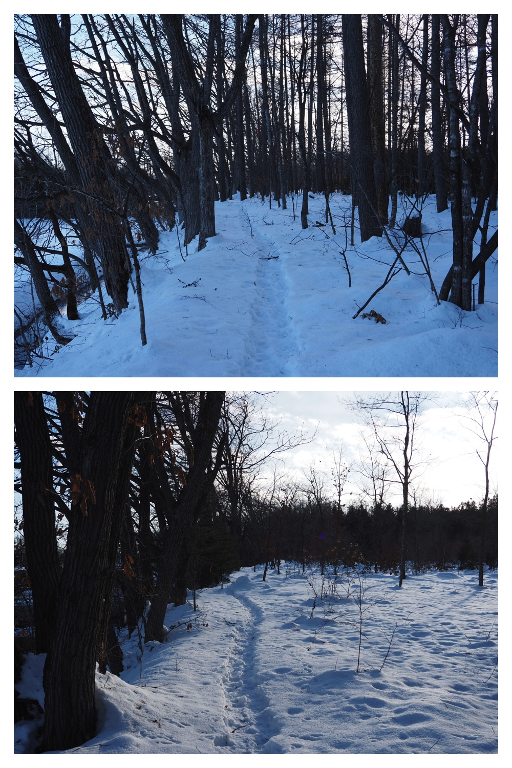 260102_New-Year-Walk_15