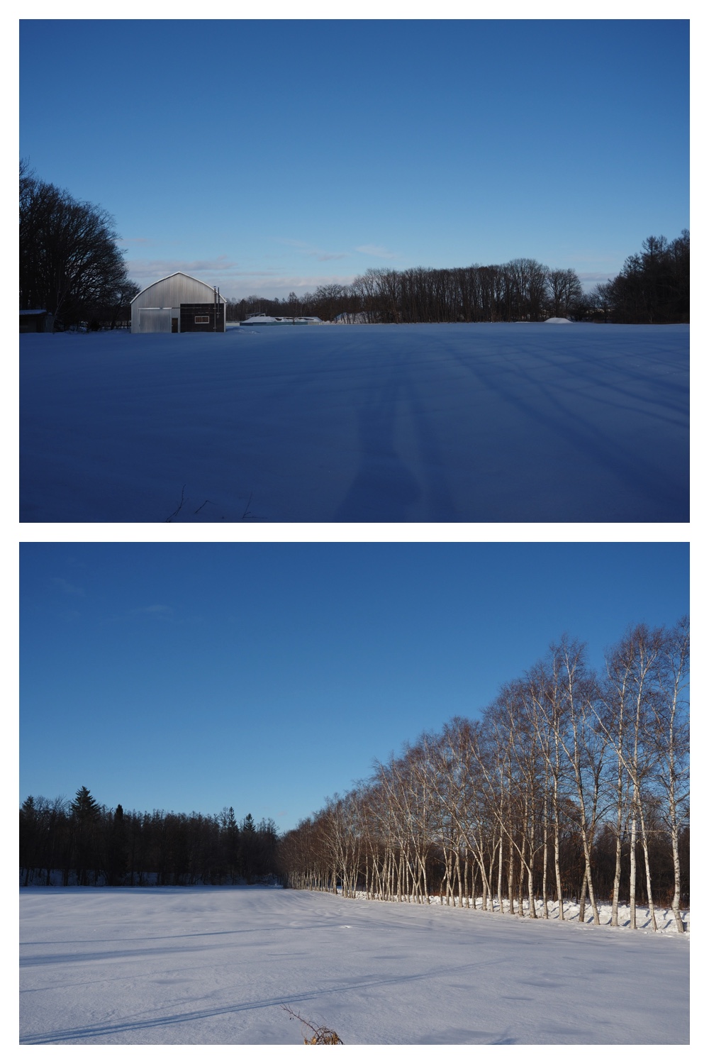 260102_New-Year-Walk_17