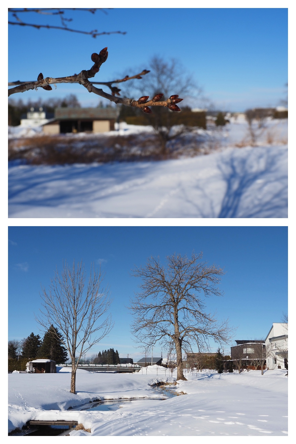 260102_New-Year-Walk_3