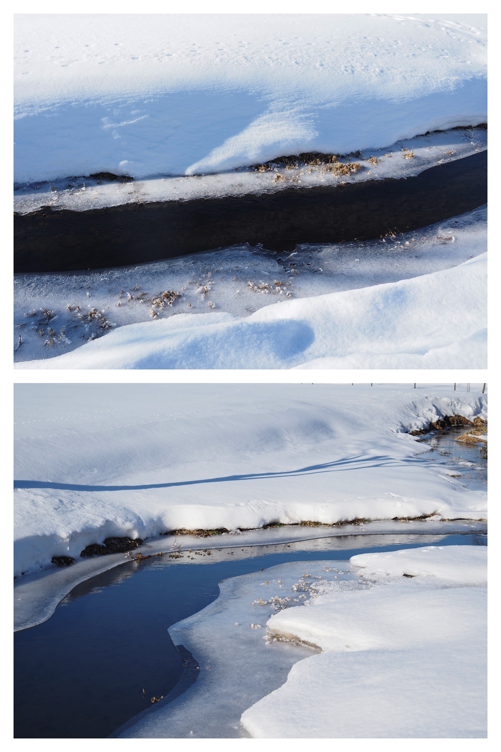 260102_New-Year-Walk_4