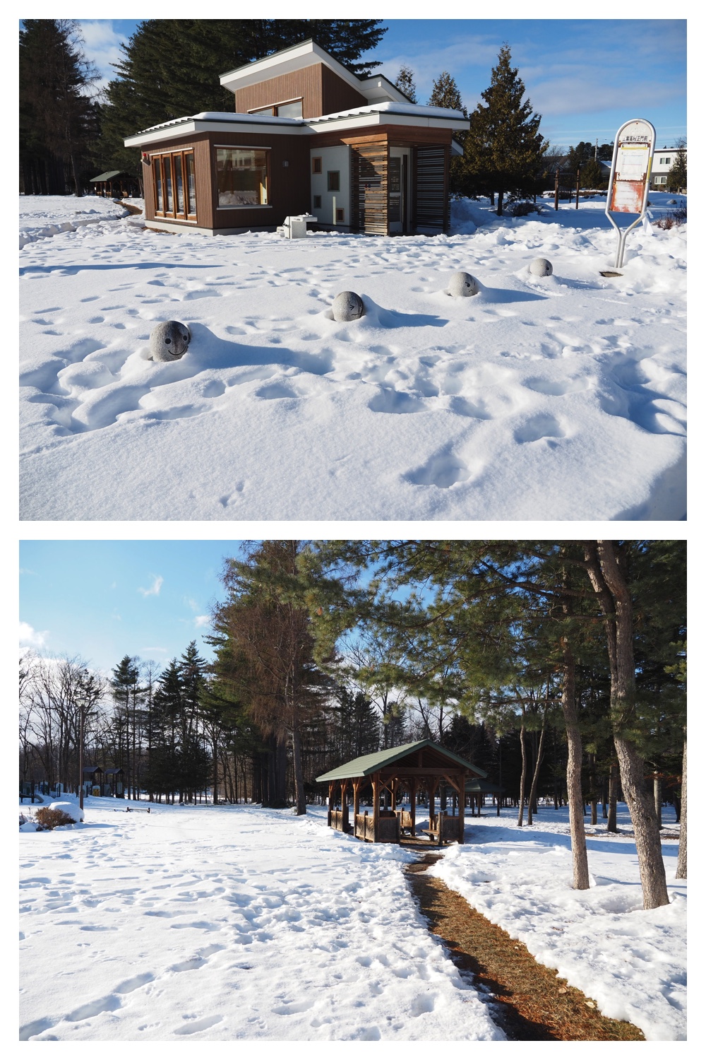 260102_New-Year-Walk_8