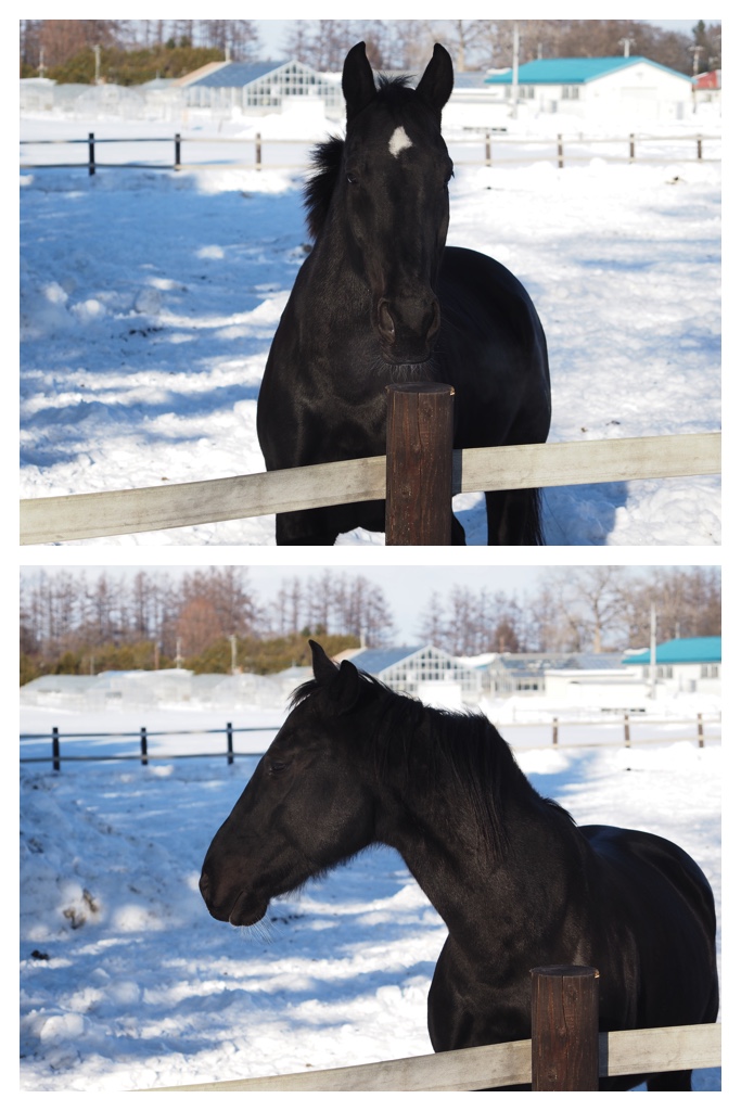 260105_Minivolley_11