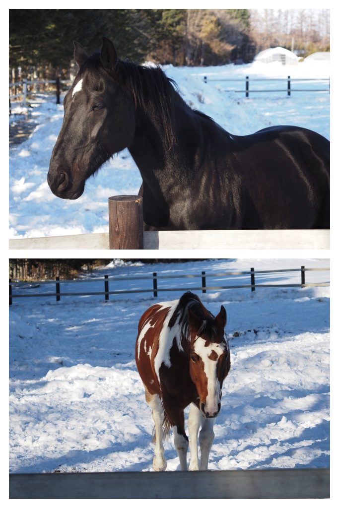 260105_Minivolley_12