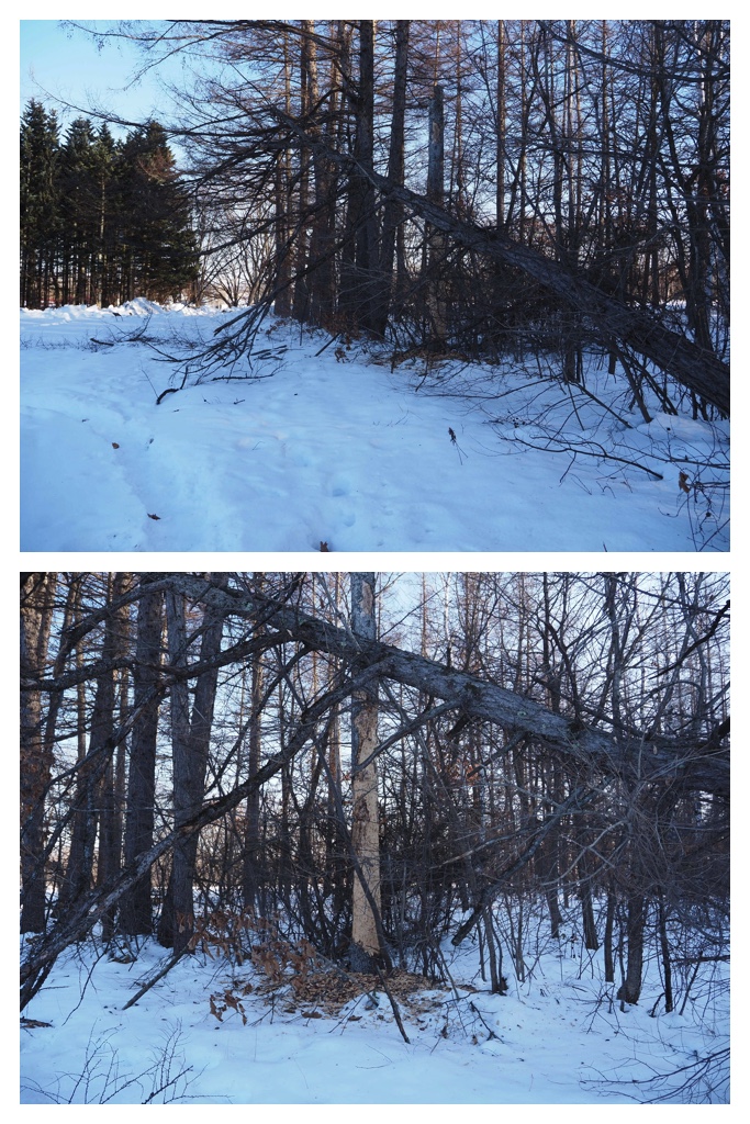 260105_Minivolley_17