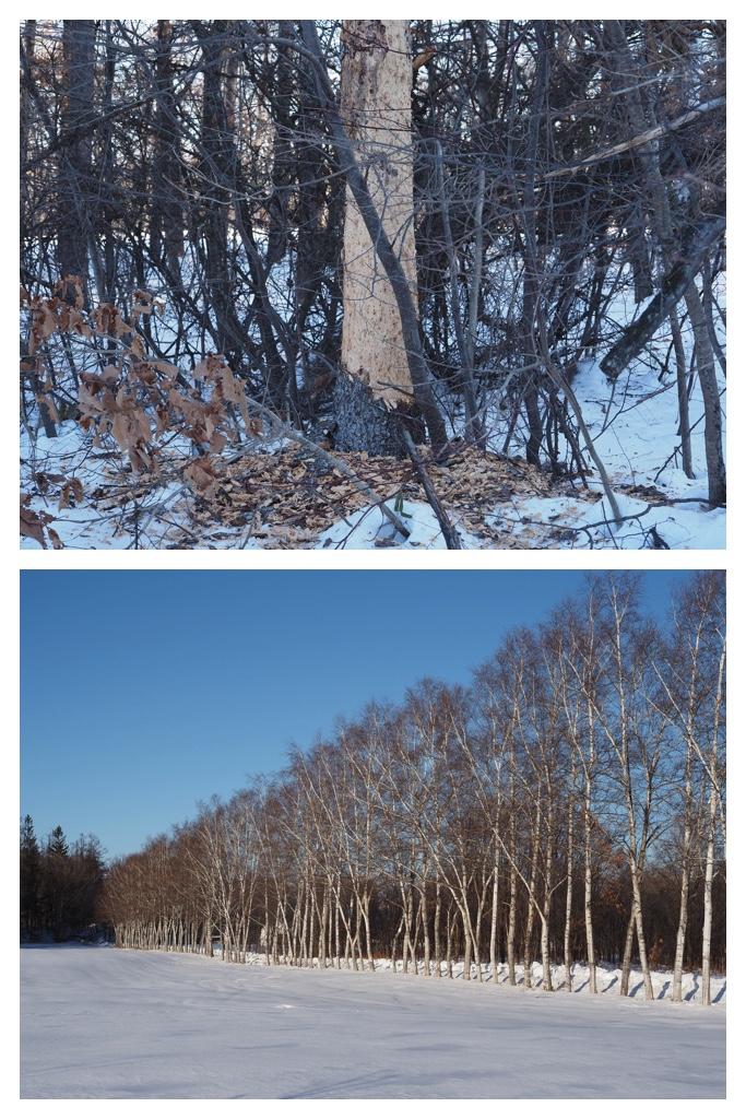 260105_Minivolley_18