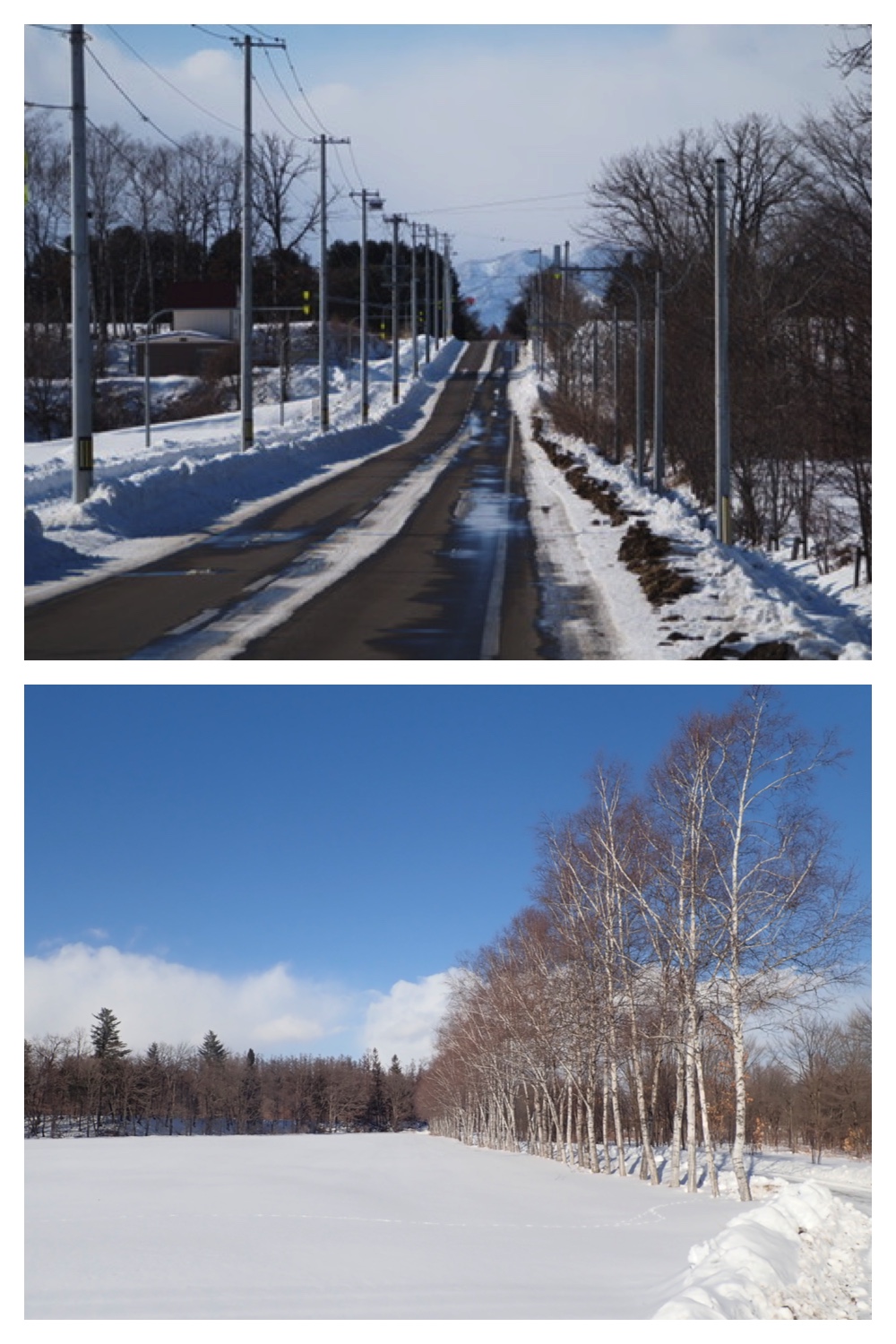 260121_Counter-route_1