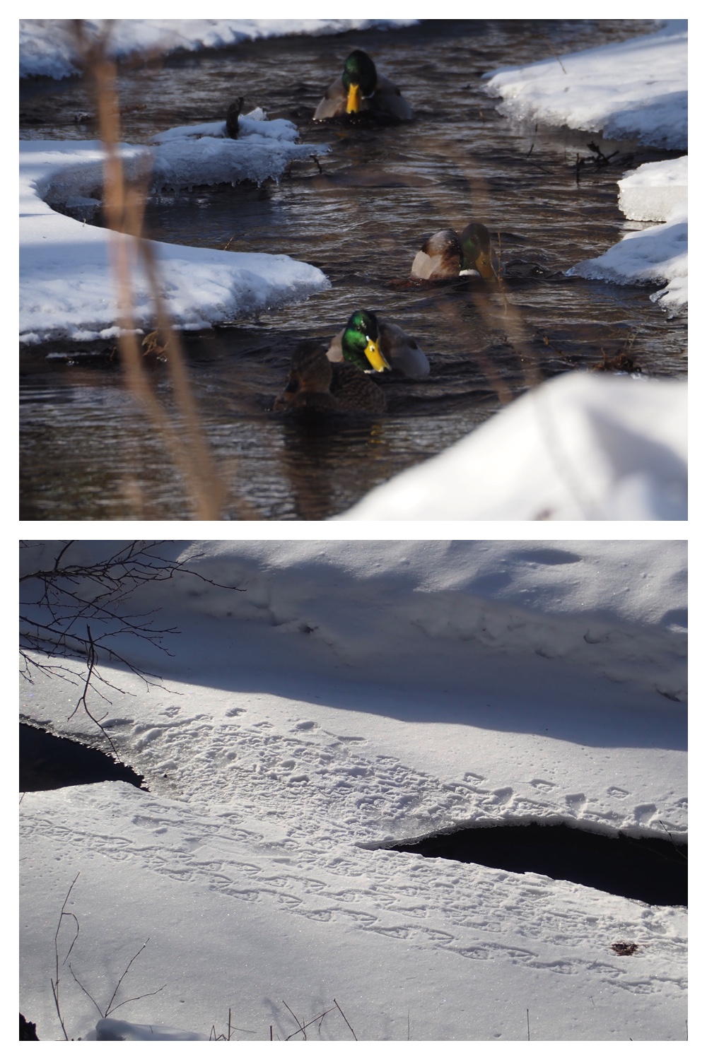 260121_Counter-route_7