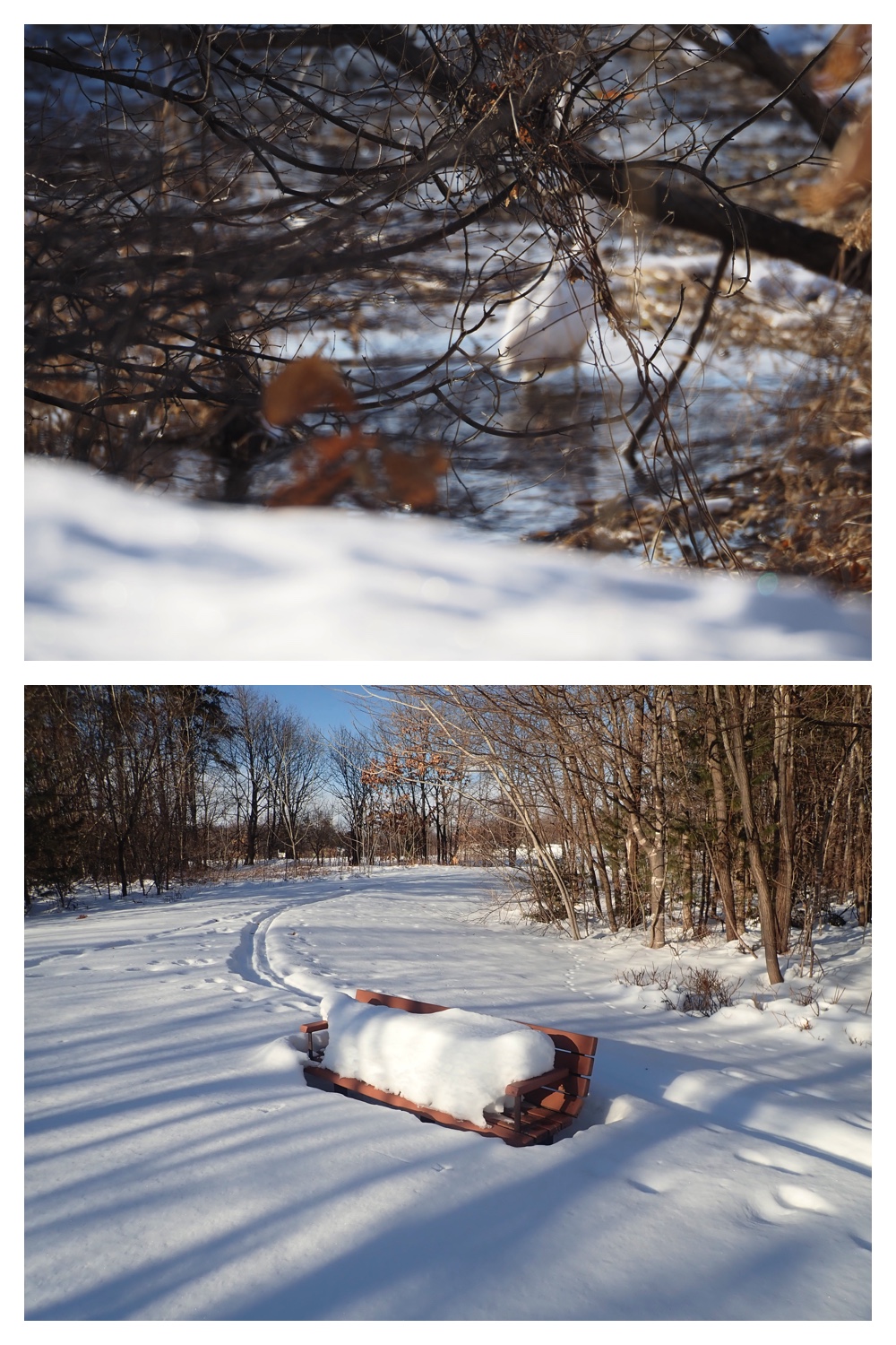 260121_Counter-route_9