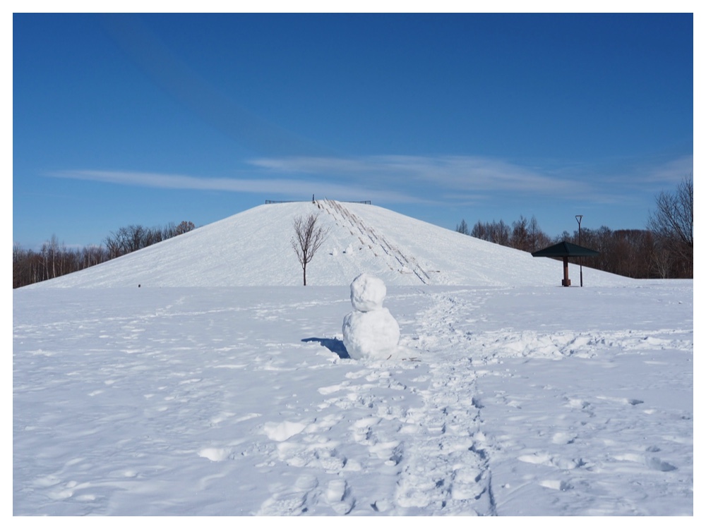 260125_Bird-survey_13