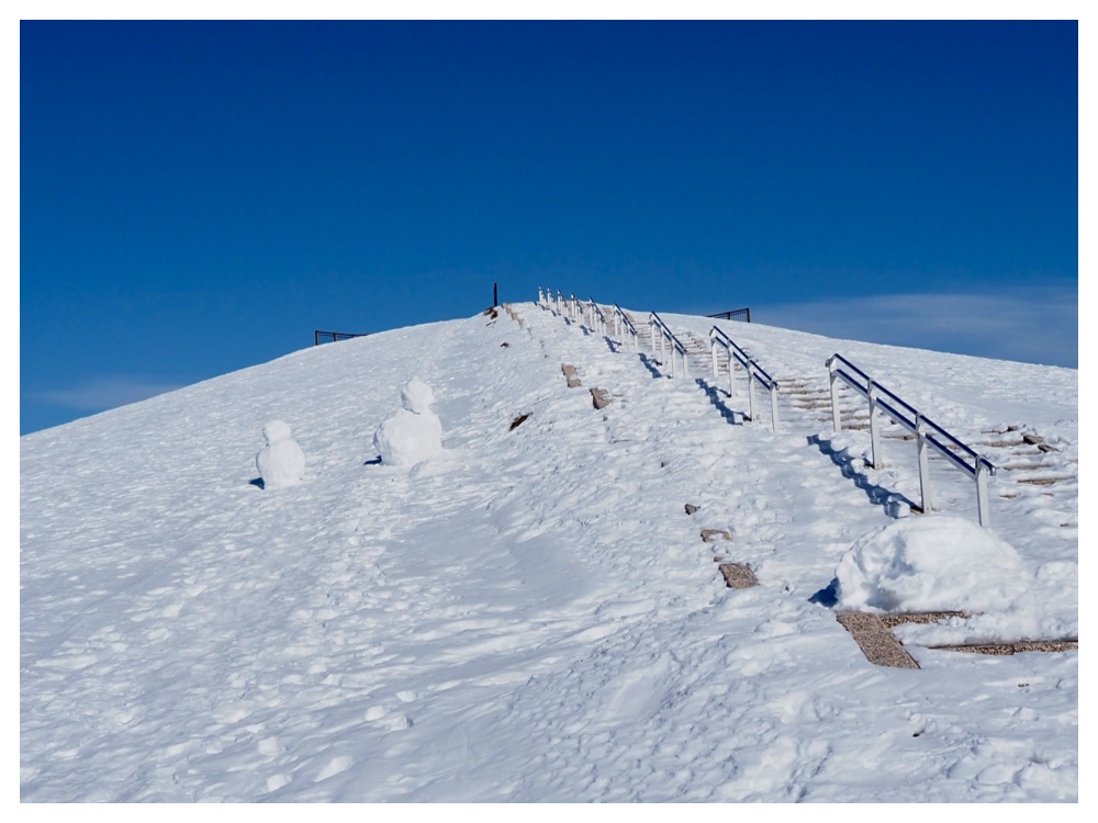 260125_Bird-survey_14