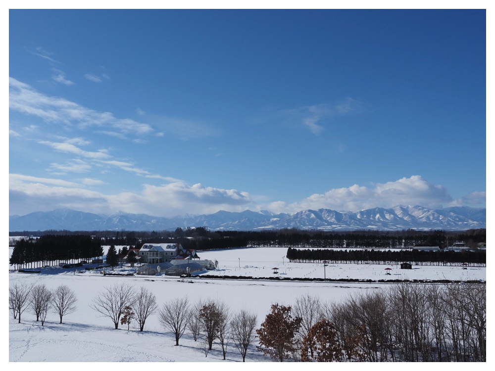 260125_Bird-survey_15