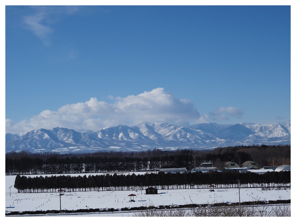 260125_Bird-survey_17