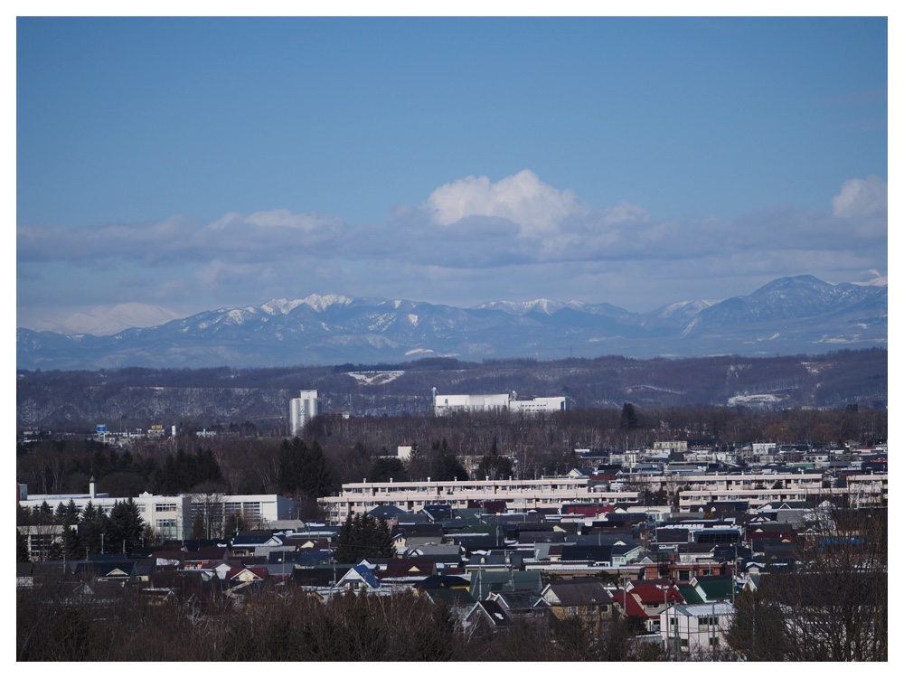 260125_Bird-survey_21