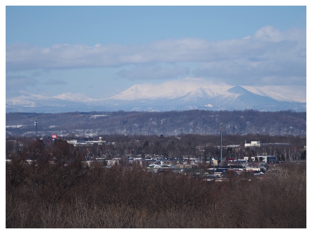 260125_Bird-survey_25